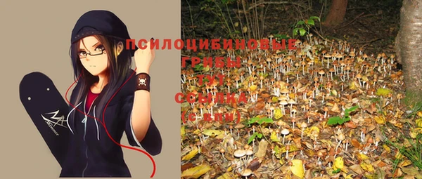 стафф Белоозёрский