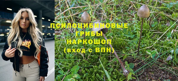 jwh Богородск
