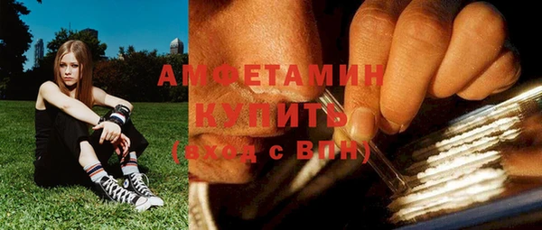 дмт Богданович