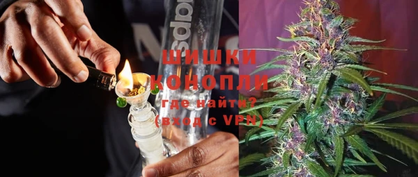 дмт Богданович