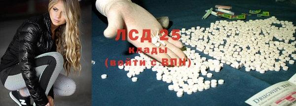дмт Богданович